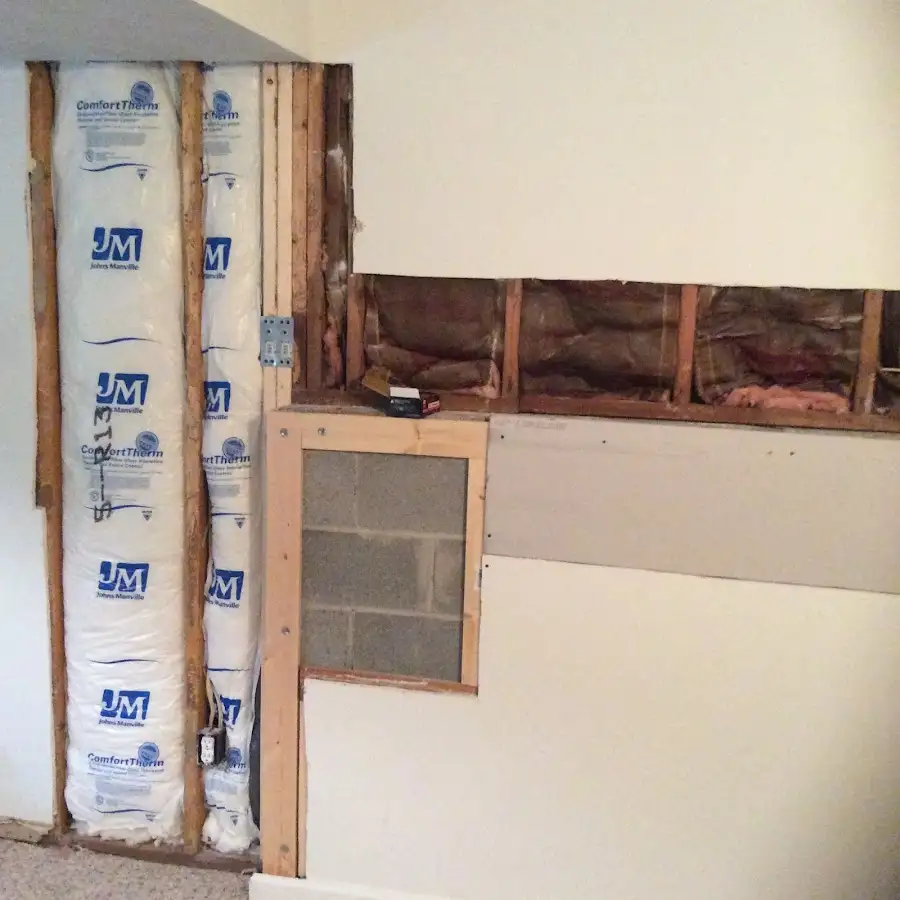 Wall insulation replacement during Odor Removal & Deodorization in South Union